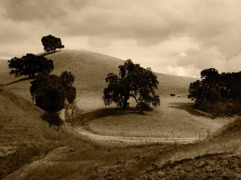 sudoku keyboard shortcuts