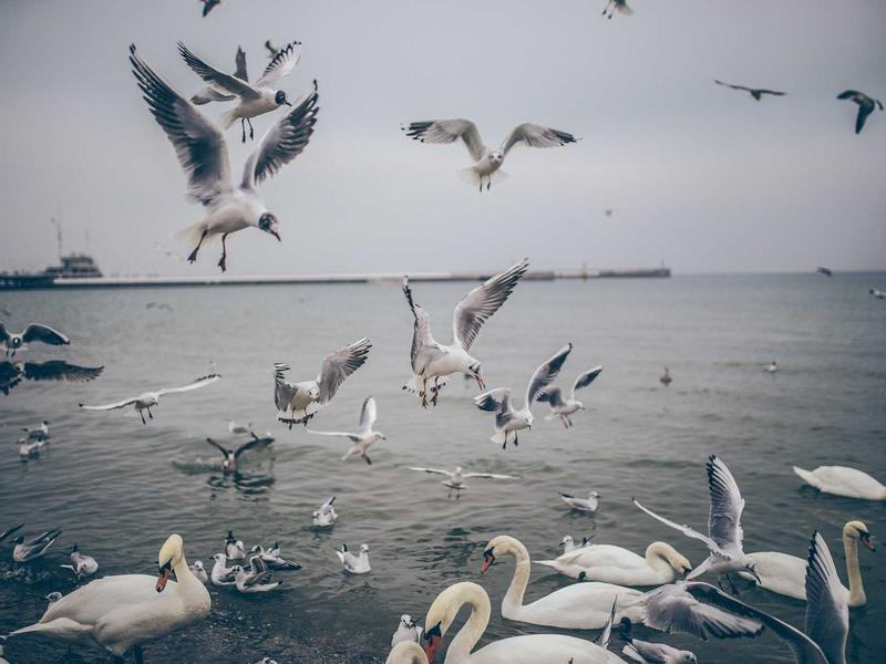 sudoku keyboard shortcuts screenshot 4